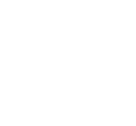 presente bônus