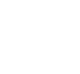 logotipo corona render