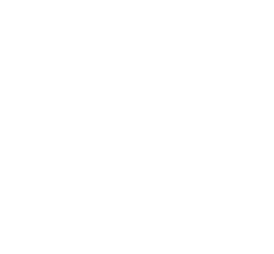 icone pbr